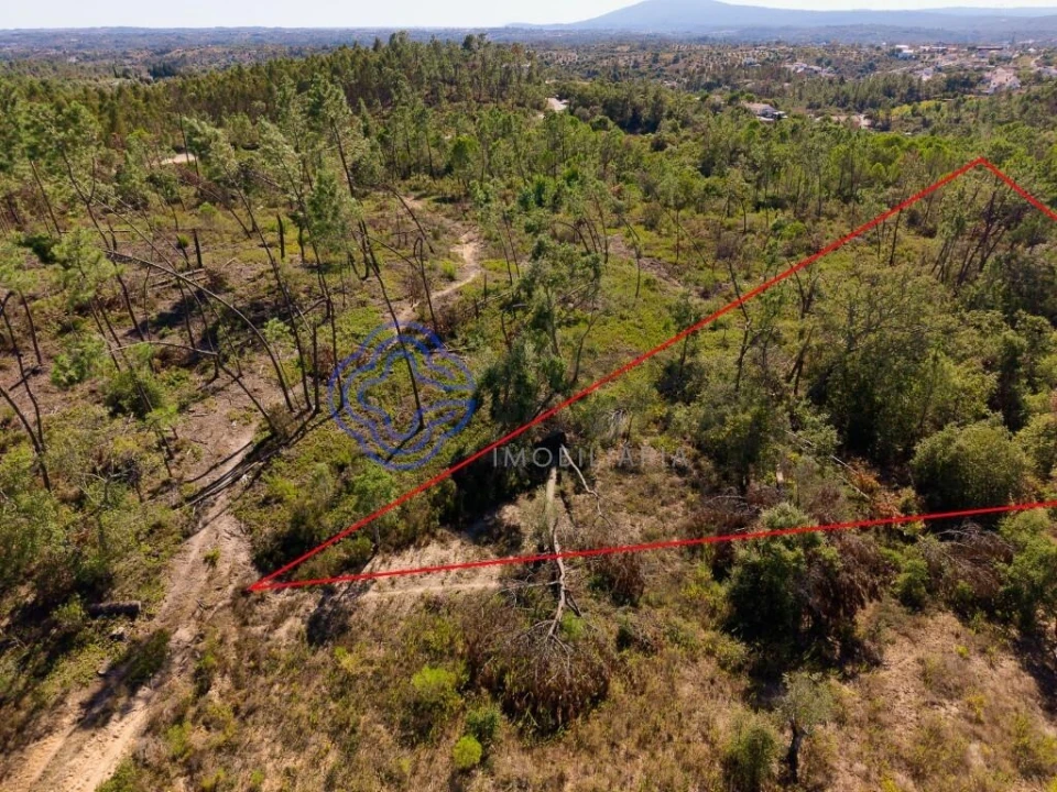 Terreno para Venda em Madalena e Beselga Foto 28