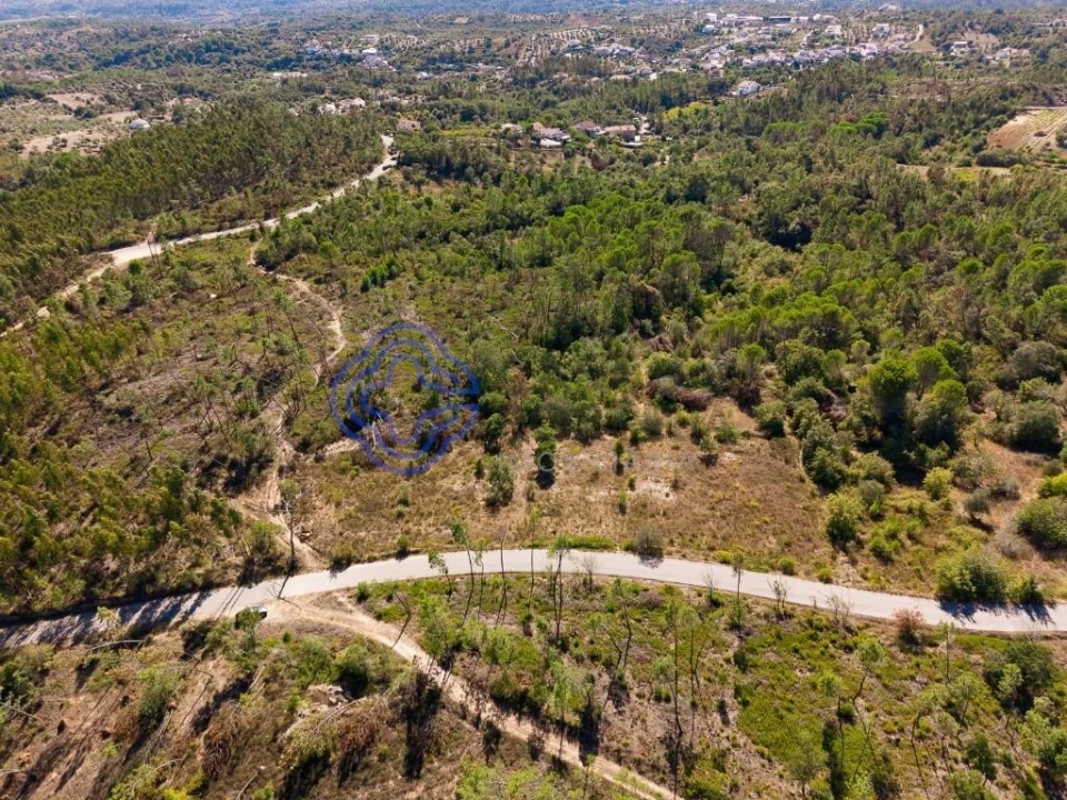Terreno para Venda em Madalena e Beselga Foto 9