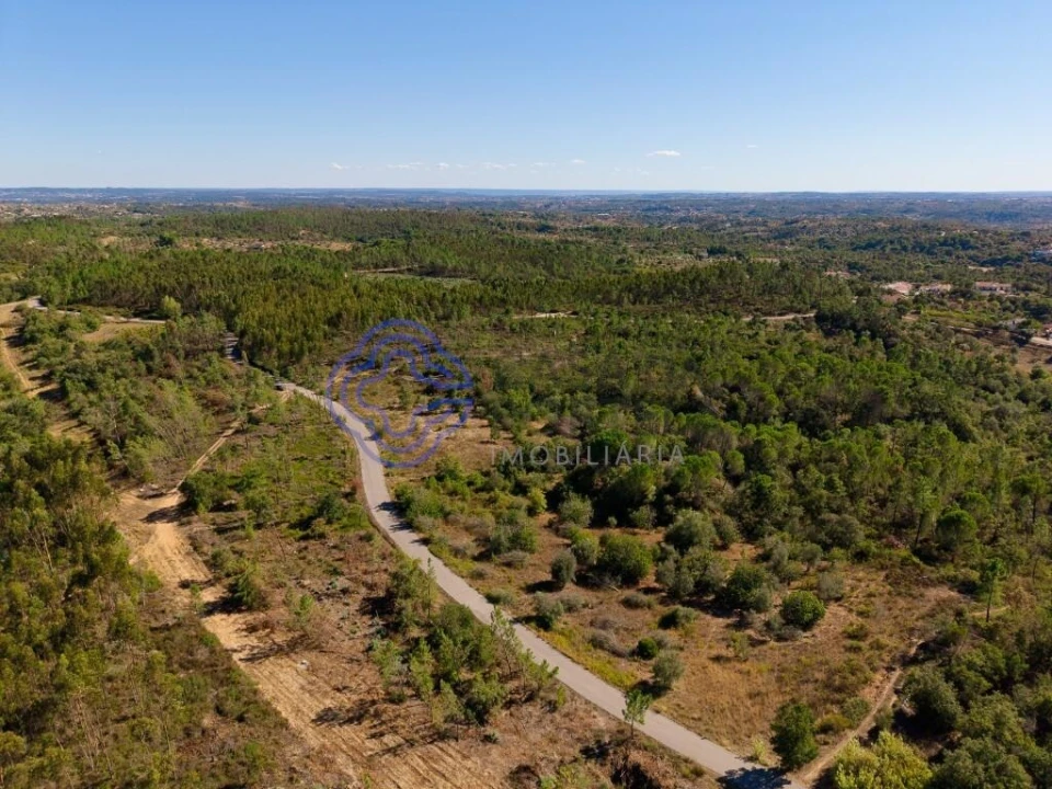 Terreno para Venda em Madalena e Beselga Foto 20