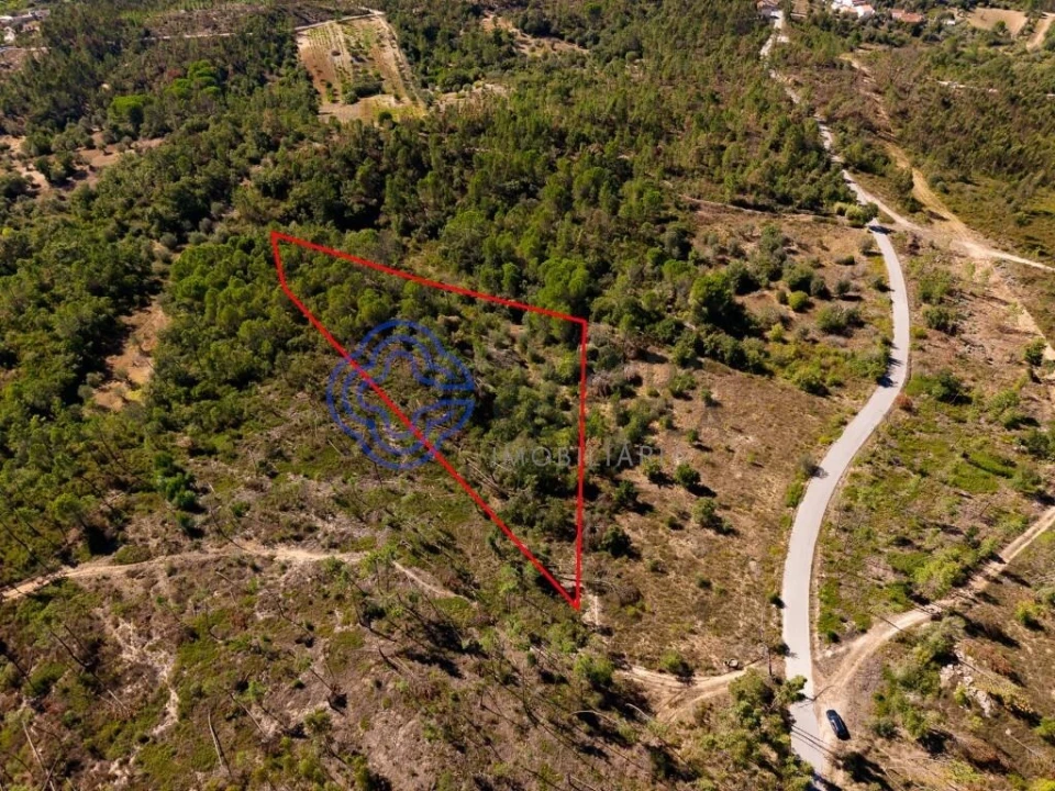 Terreno para Venda em Madalena e Beselga Foto 2