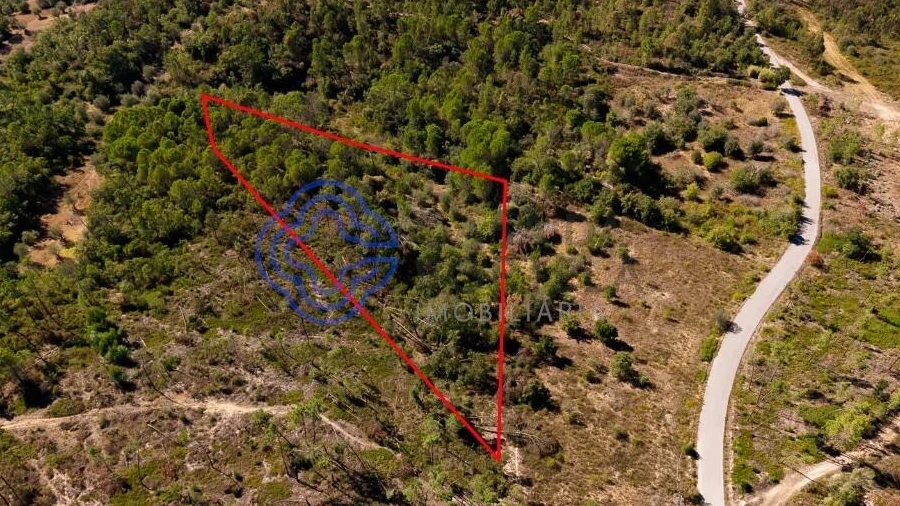 Terreno para Venda em Madalena e Beselga