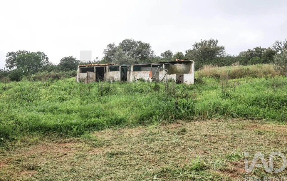 Quinta T1 para Venda em Mexilhoeira Grande Foto 5