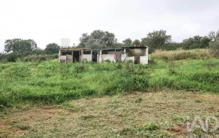 Quinta T1 para Venda em Mexilhoeira Grande