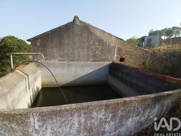 Quinta T1 para Venda em Mexilhoeira Grande