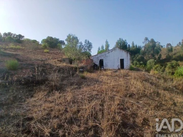 Quinta T1 para Venda em Mexilhoeira Grande