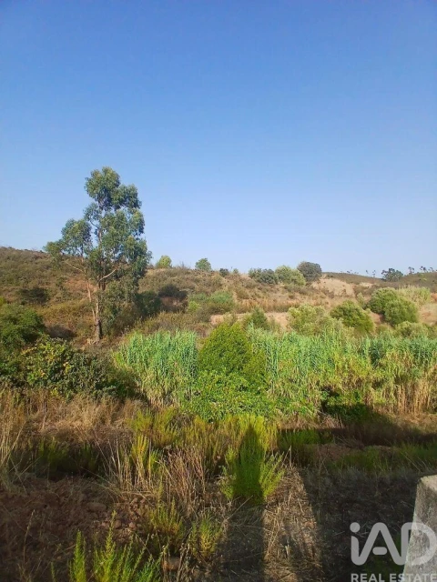Quinta T1 para Venda em Mexilhoeira Grande