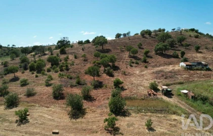 Quinta T1 para Venda em Mexilhoeira Grande