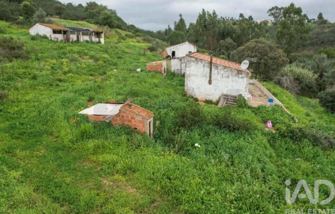 Quinta T1 para Venda em Mexilhoeira Grande Foto 4