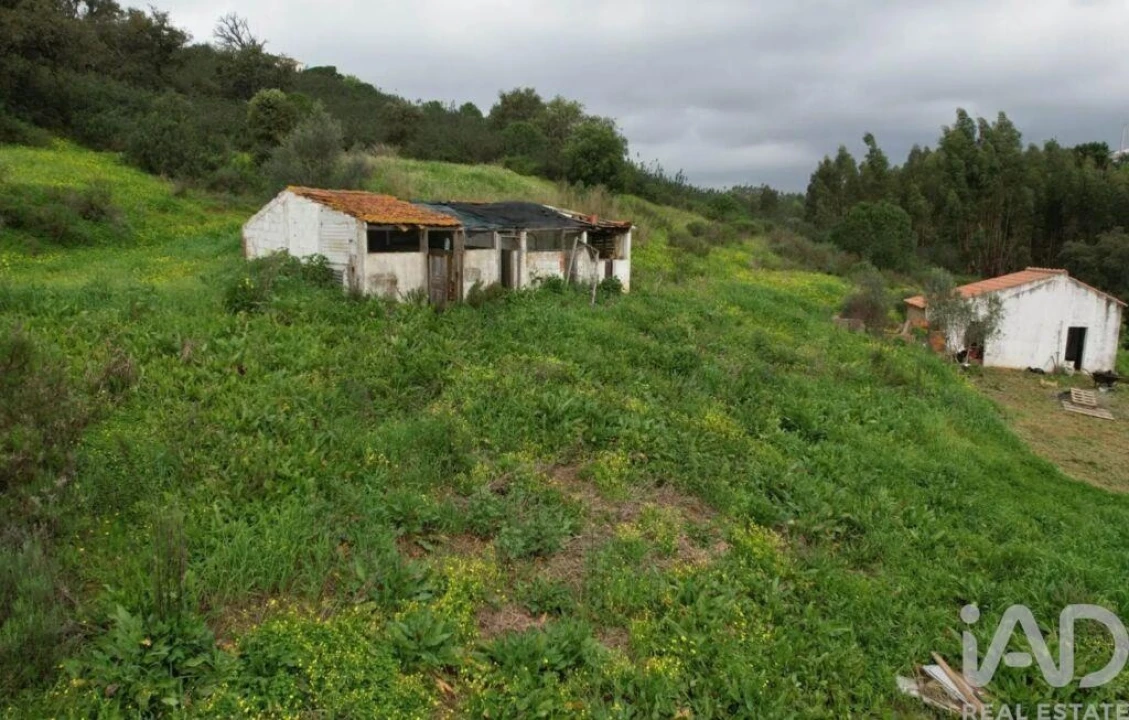 Quinta T1 para Venda em Mexilhoeira Grande Foto 10