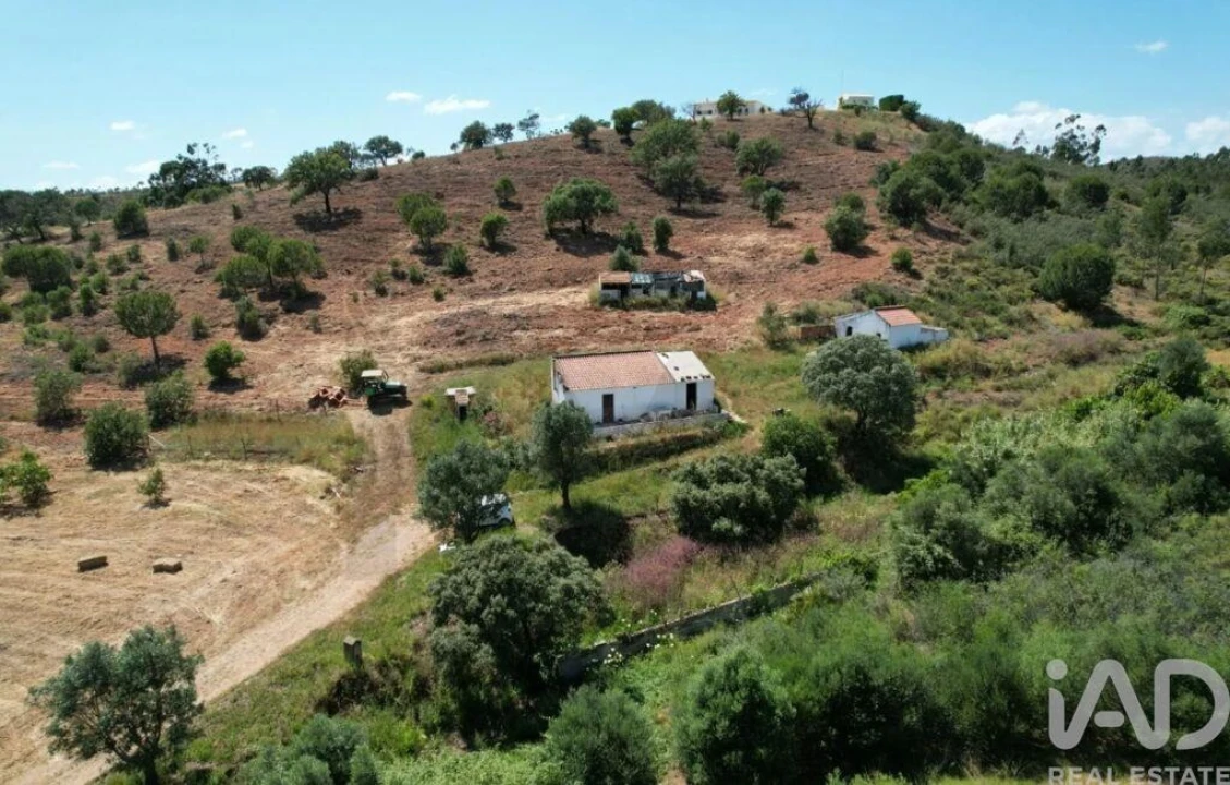 Quinta T1 para Venda em Mexilhoeira Grande Foto 3