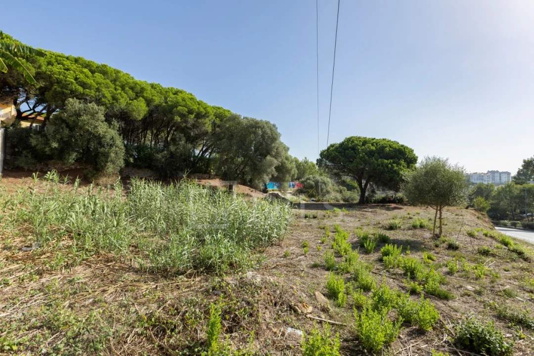 Terreno para Venda em Alcabideche Foto 1