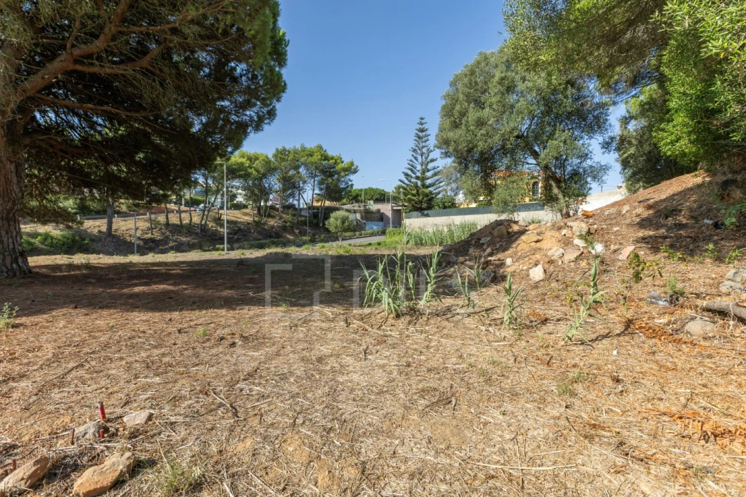 Terreno para Venda em Alcabideche Foto 13