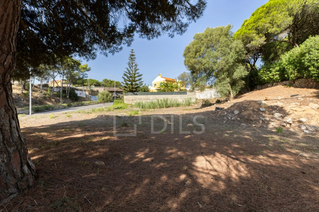 Terreno para Venda em Alcabideche Foto 17