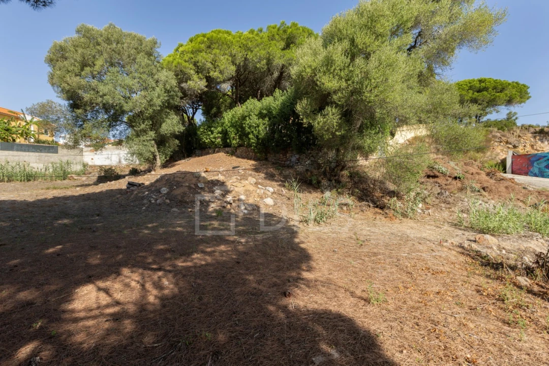 Terreno para Venda em Alcabideche Foto 32