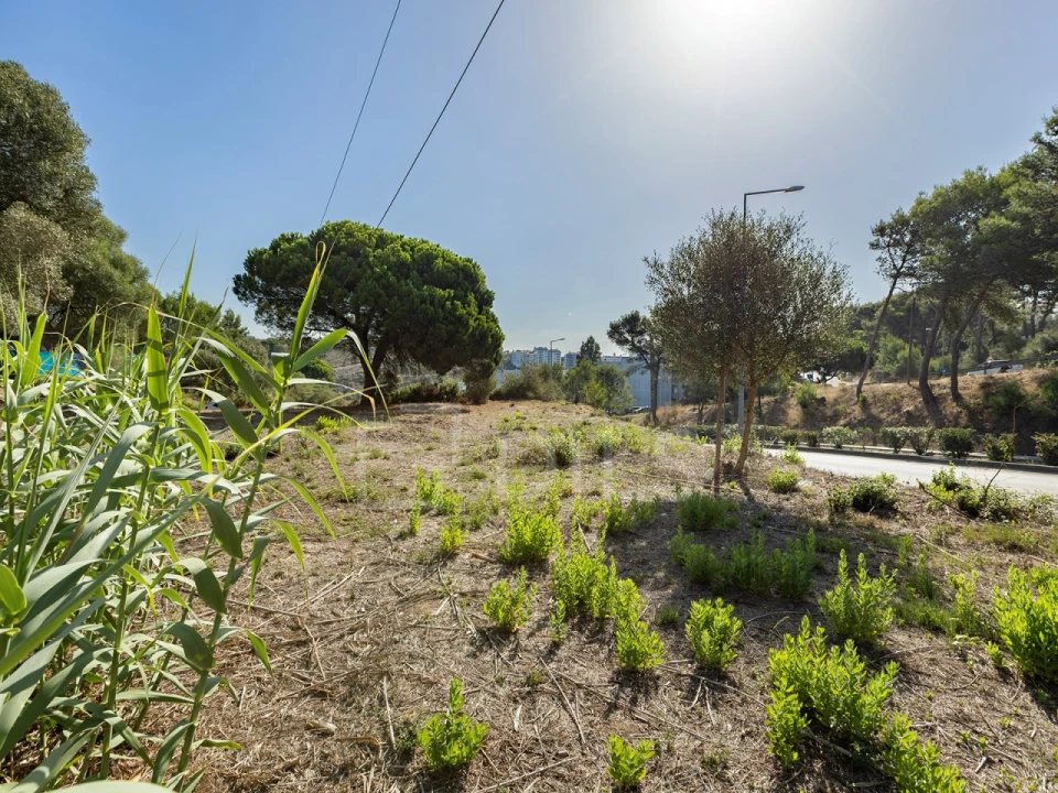 Terreno para Venda em Alcabideche Foto 3