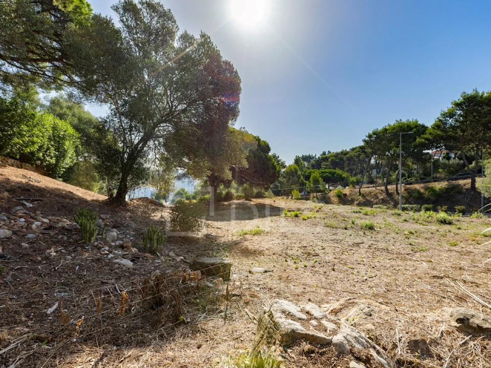 Terreno para Venda em Alcabideche Foto 6