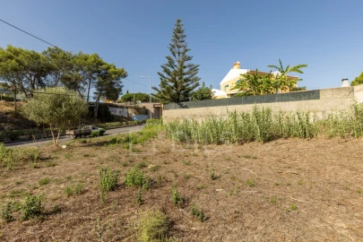 Terreno para Venda em Alcabideche