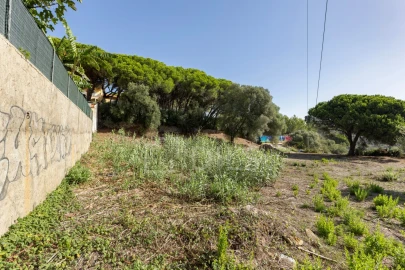 Terreno para Venda em Alcabideche