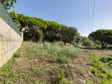 Terreno para Venda em Alcabideche