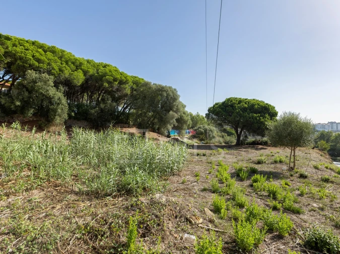 Terreno para Venda em Alcabideche Foto 2