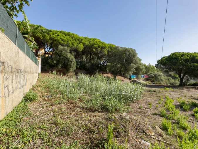 Terreno para Venda em Alcabideche Foto 19