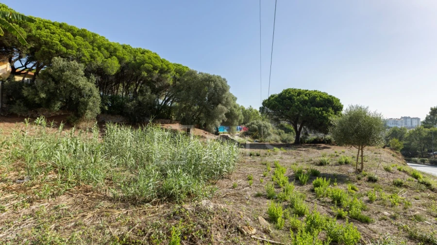 Terreno para Venda em Alcabideche