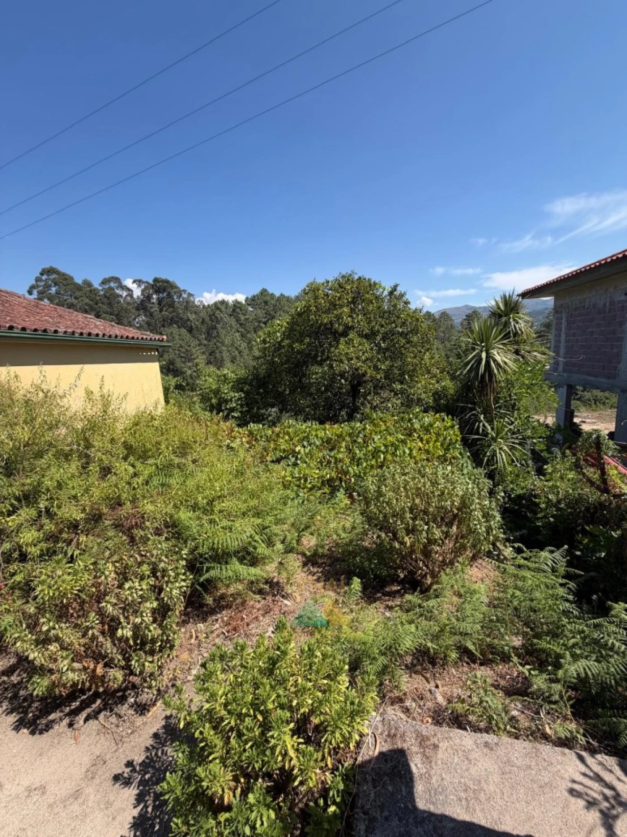 Moradia T2 para Venda em São Jorge e Ermelo Foto 6