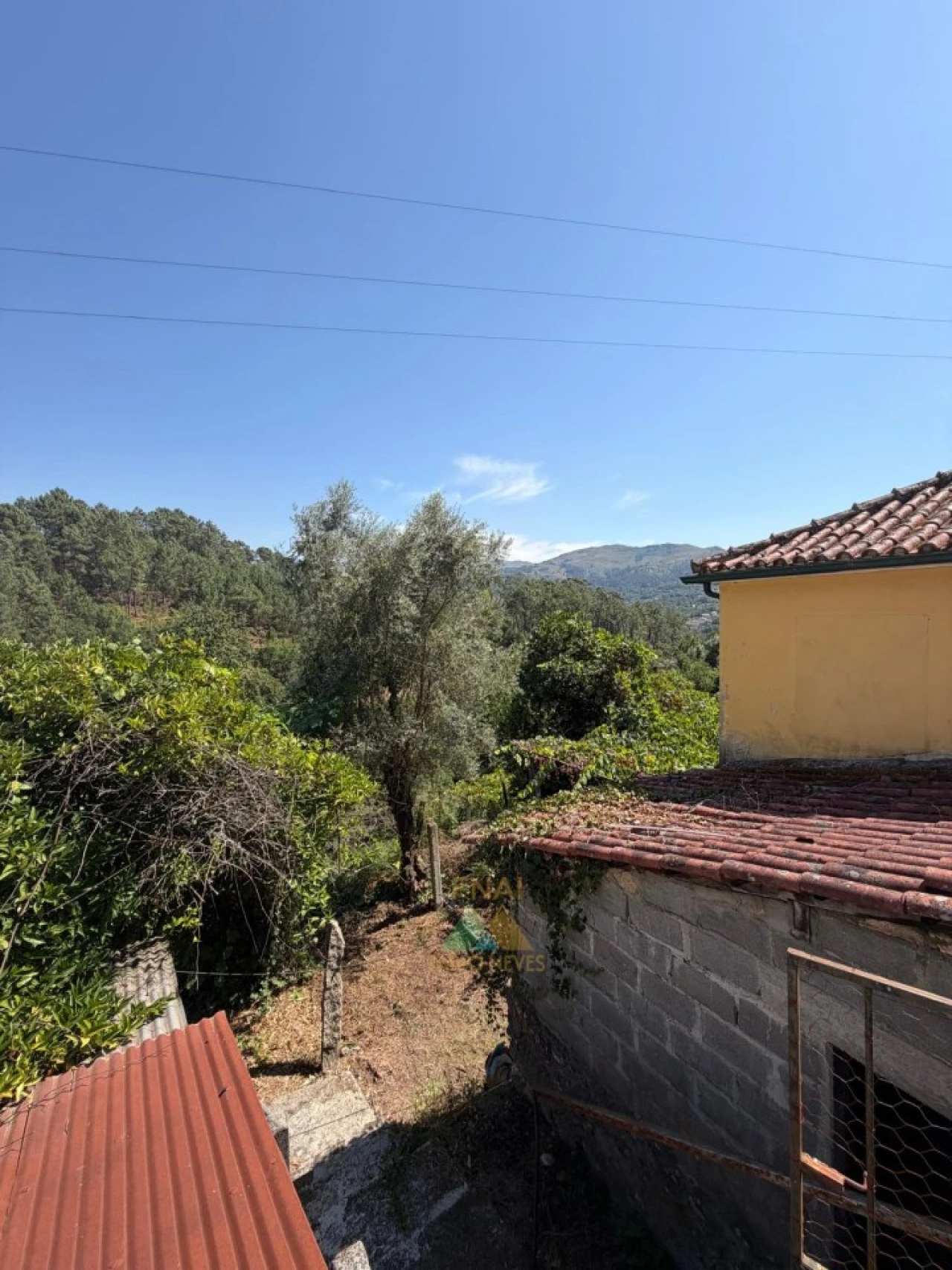 Moradia T2 para Venda em São Jorge e Ermelo Foto 9
