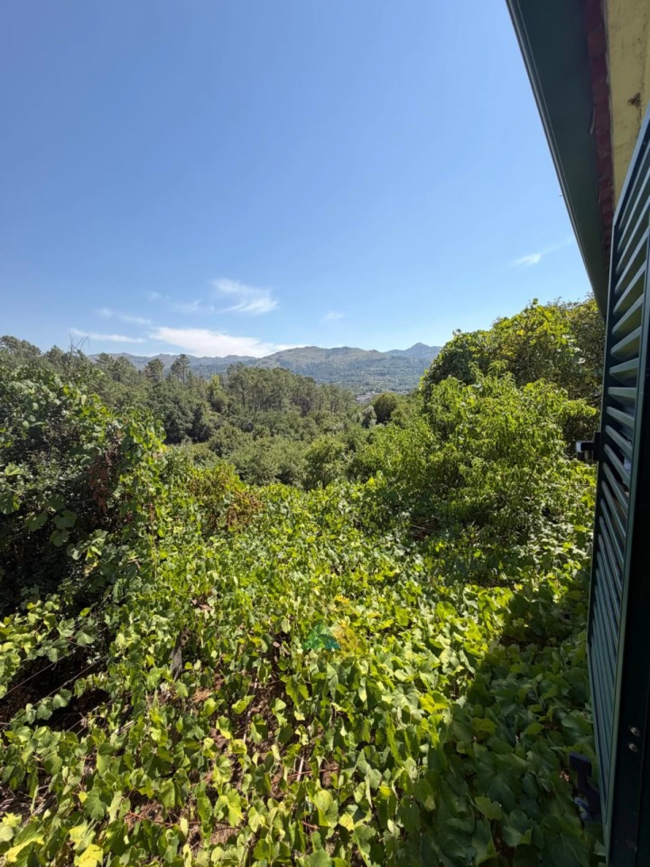 Moradia T2 para Venda em São Jorge e Ermelo Foto 21