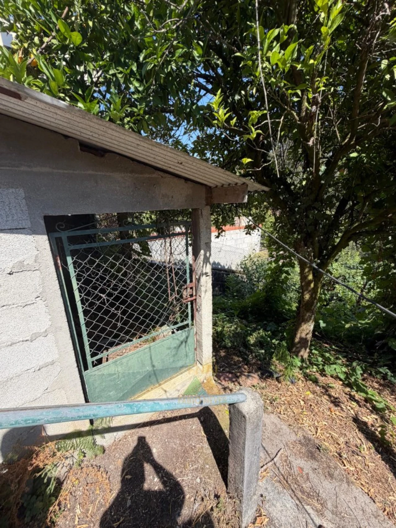 Moradia T2 para Venda em São Jorge e Ermelo Foto 34