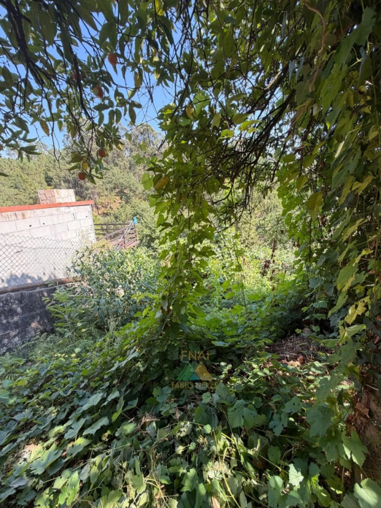 Moradia T2 para Venda em São Jorge e Ermelo Foto 35