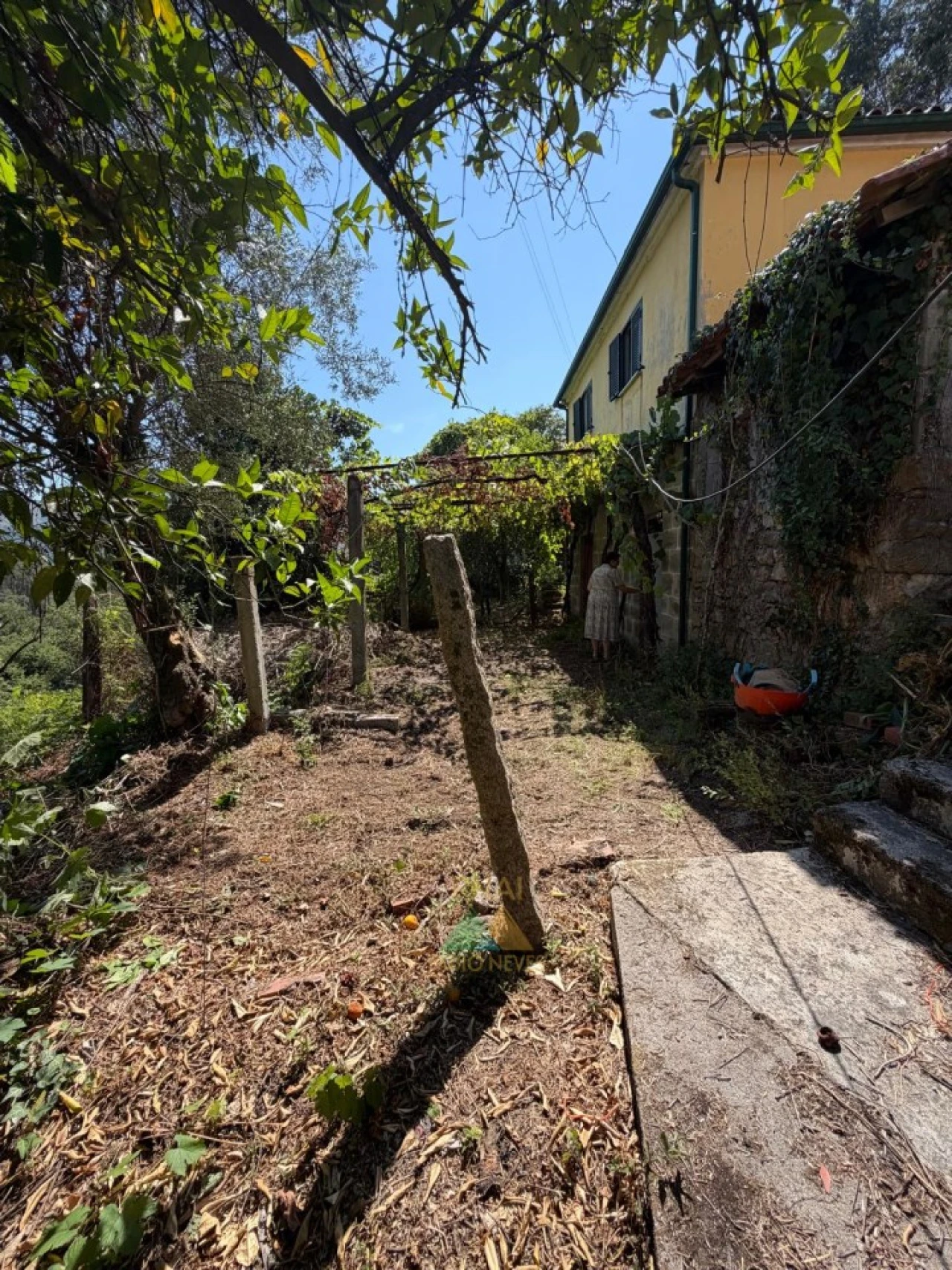 Moradia T2 para Venda em São Jorge e Ermelo Foto 36