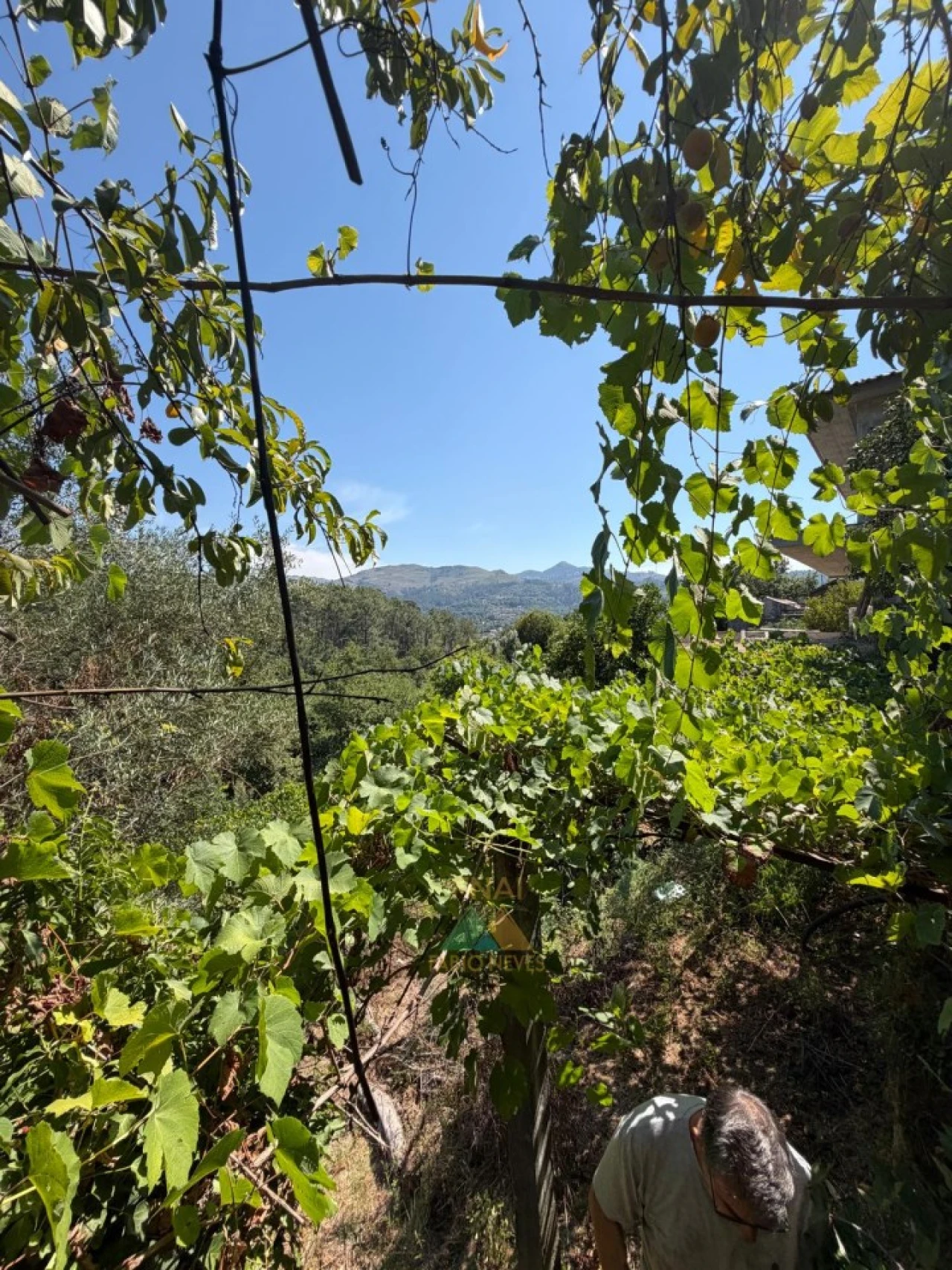 Moradia T2 para Venda em São Jorge e Ermelo Foto 38