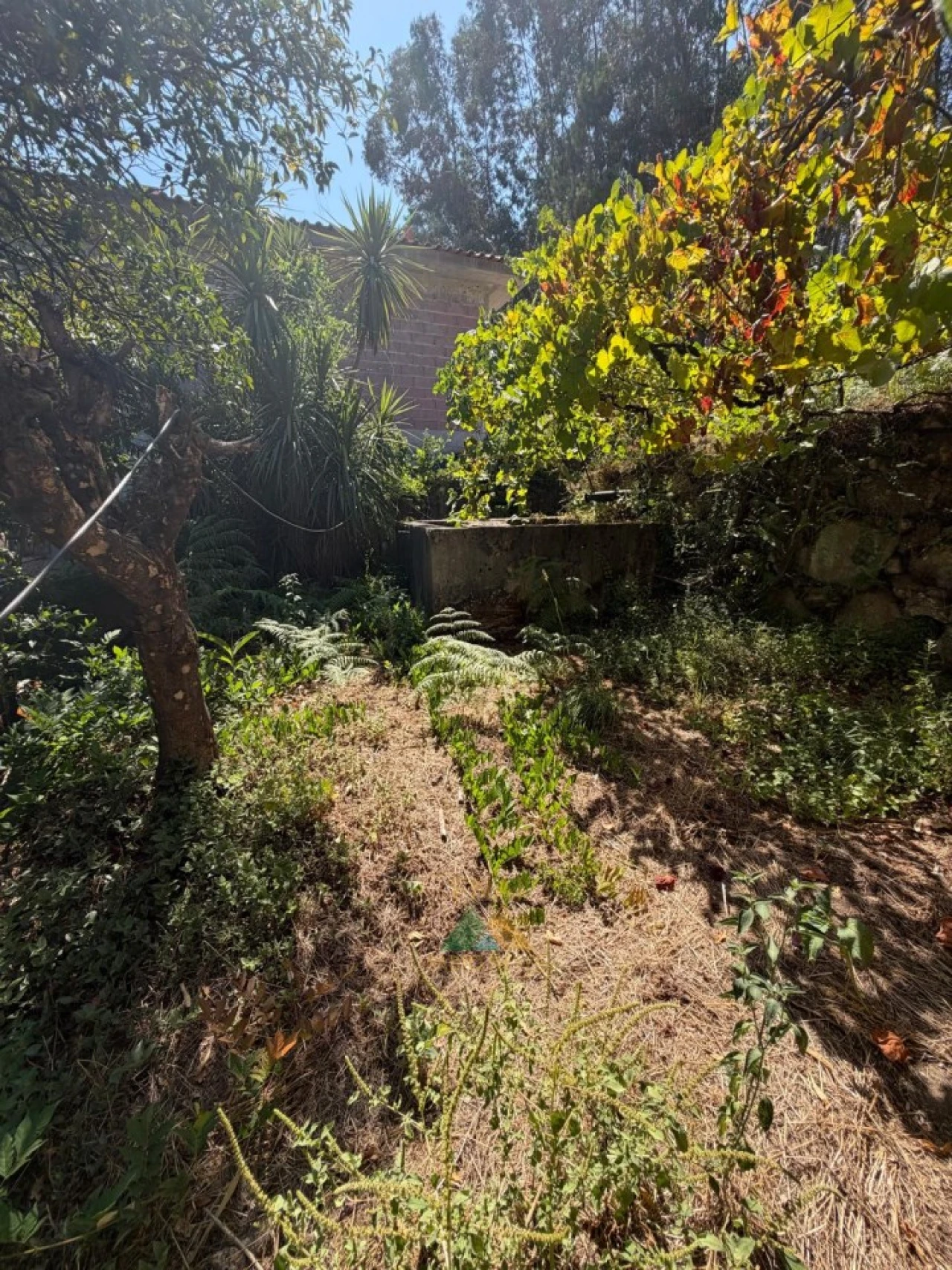 Moradia T2 para Venda em São Jorge e Ermelo Foto 39