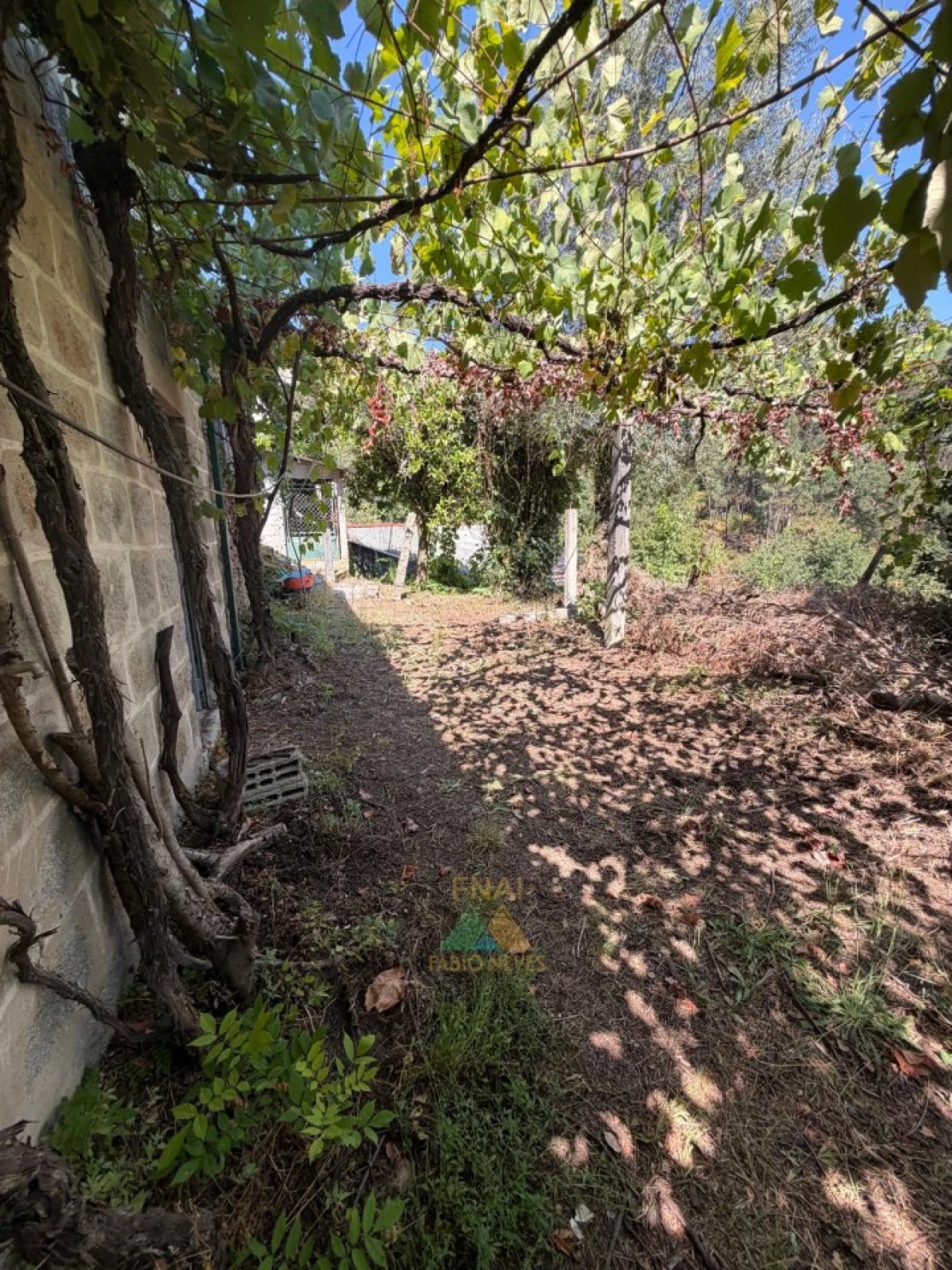 Moradia T2 para Venda em São Jorge e Ermelo Foto 45