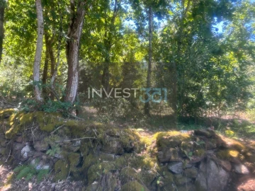 Terreno para Venda em Vilar de Mouros