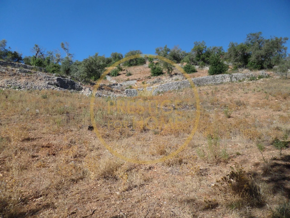 Terreno para Venda em Loule (São Sebastião) Foto 4