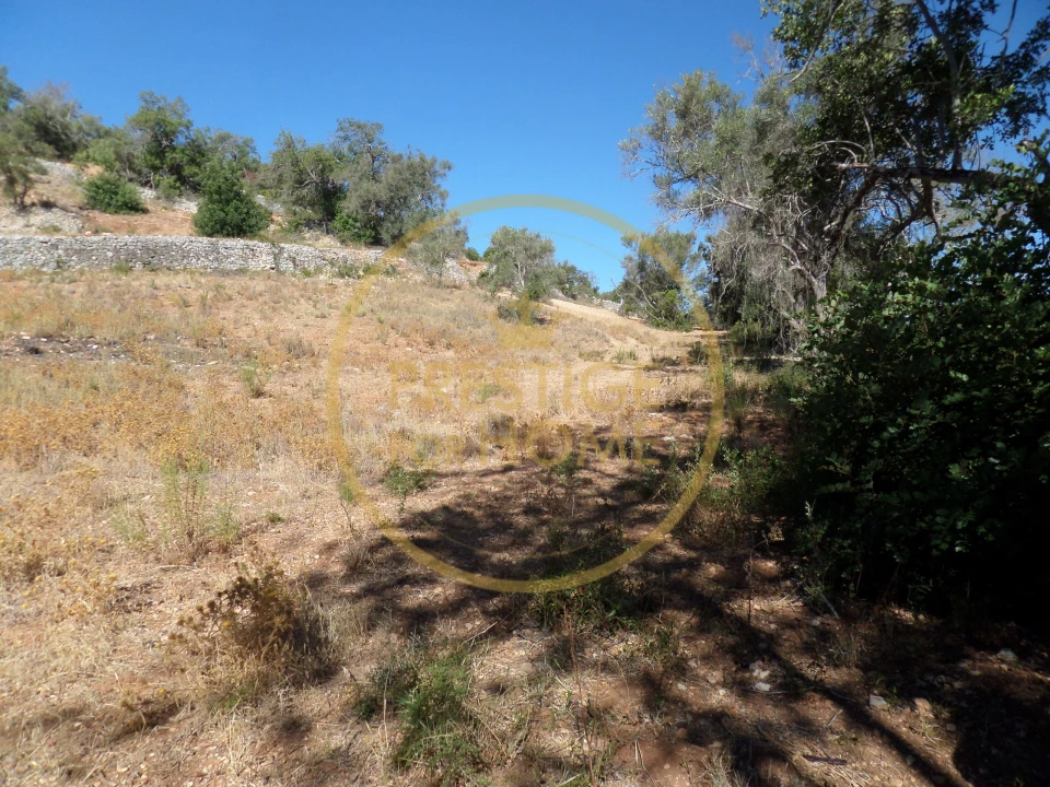 Terreno para Venda em Loule (São Sebastião) Foto 3