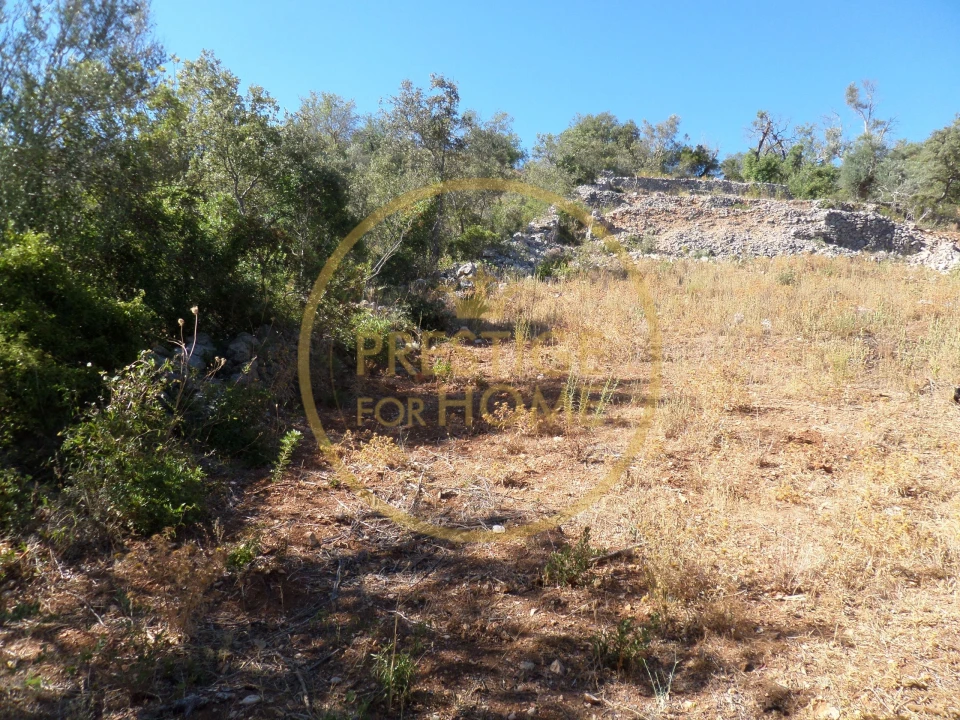 Terreno para Venda em Loule (São Sebastião) Foto 2