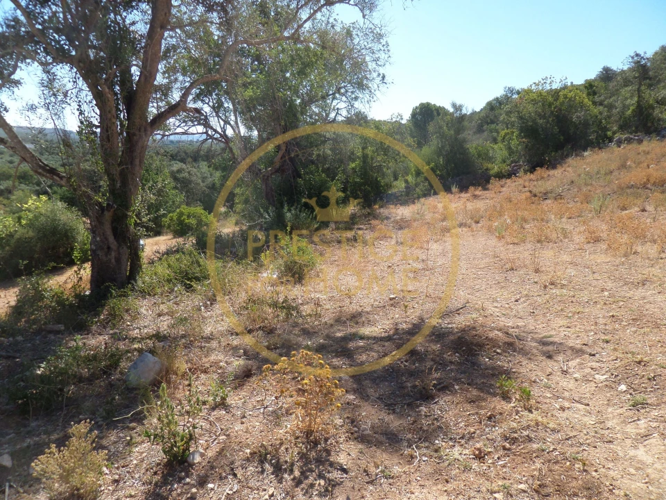Terreno para Venda em Loule (São Sebastião) Foto 8