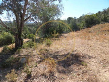 Terreno para Venda em Loule (São Sebastião)