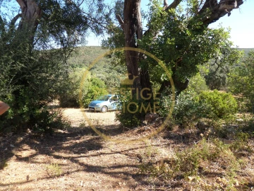 Terreno para Venda em Loule (São Sebastião)