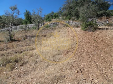 Terreno para Venda em Loule (São Sebastião)
