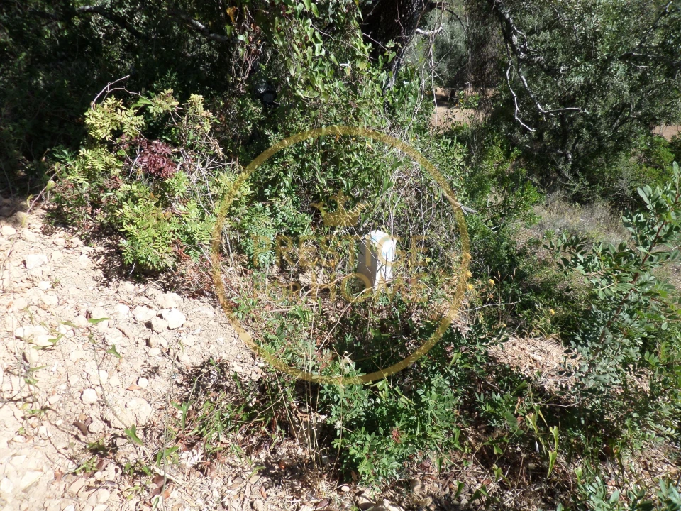 Terreno para Venda em Loule (São Sebastião) Foto 11
