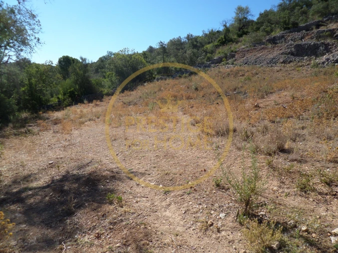 Terreno para Venda em Loule (São Sebastião) Foto 9