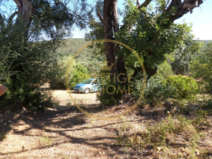 Terreno para Venda em Loule (São Sebastião) Foto 13