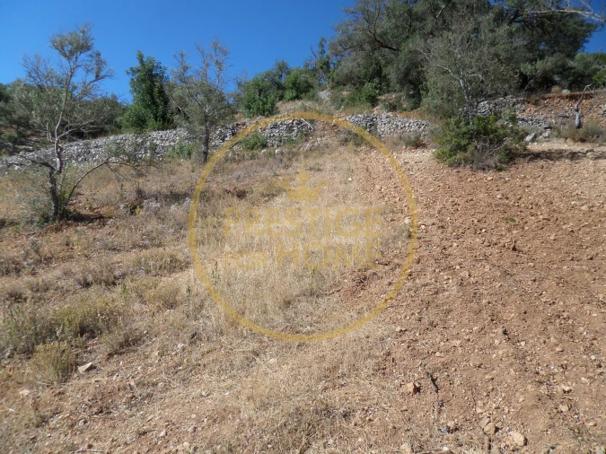 Terreno para Venda em Loule (São Sebastião) Foto 10