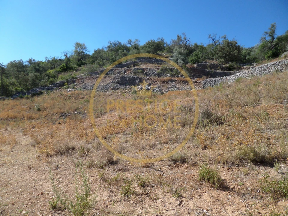 Terreno para Venda em Loule (São Sebastião) Foto 1