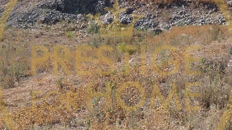Terreno para Venda em Loule (São Sebastião)
