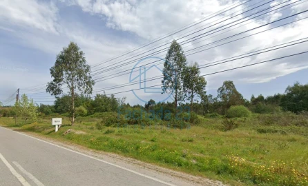 Armazém para Venda em Canas de Santa Maria